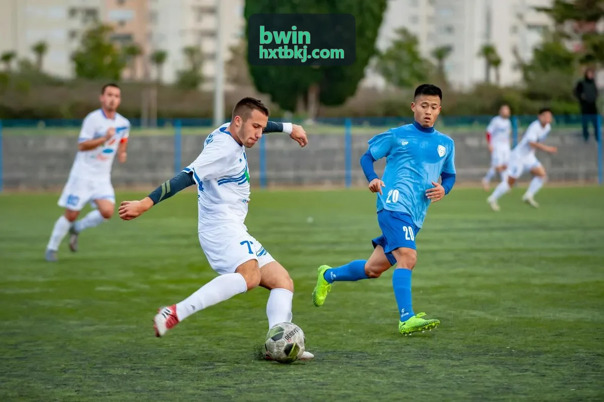 bwin 金融风控
